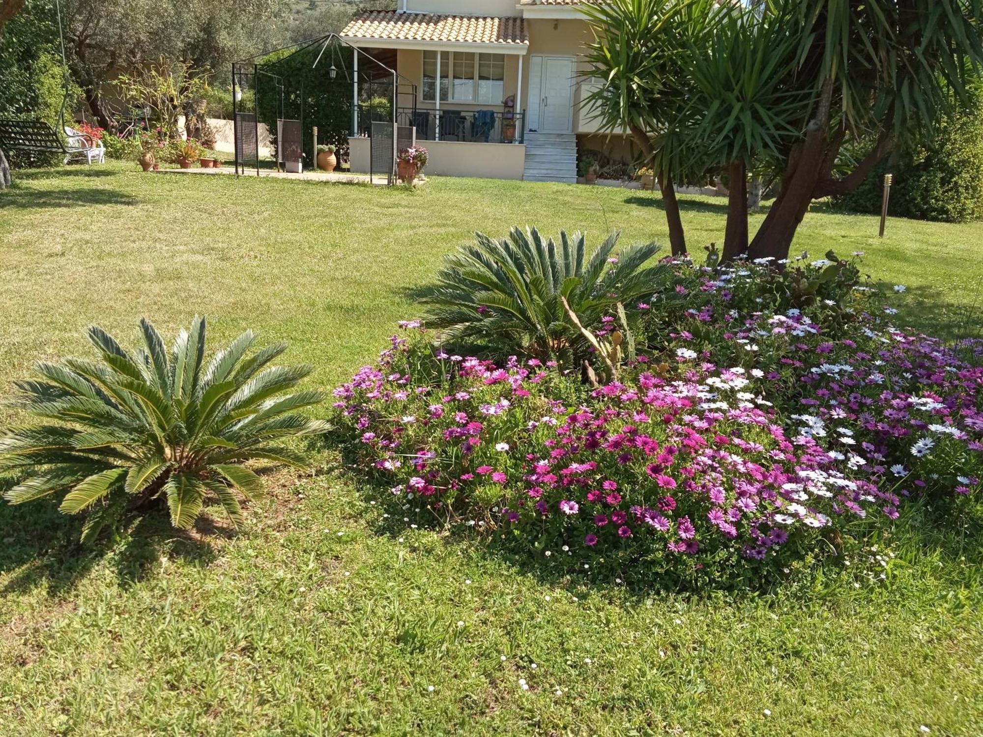 Sunny Garden Villa Plataria Phòng bức ảnh